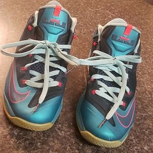 Shoes Lebron James